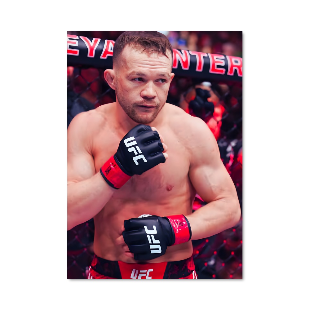Poster Petr de yan